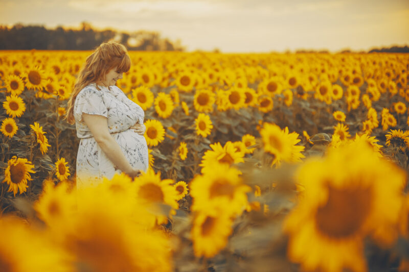 Sonnenblumenfeld Babybauch