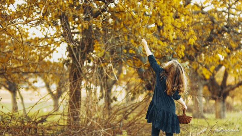 Familie im Herbst